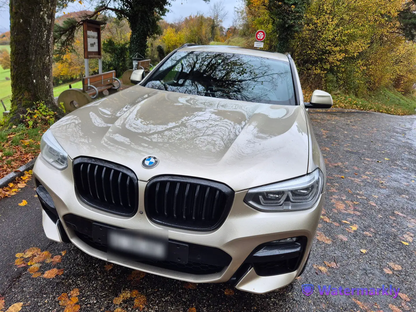 BMW X4 M X4 M40d Béžová - 2
