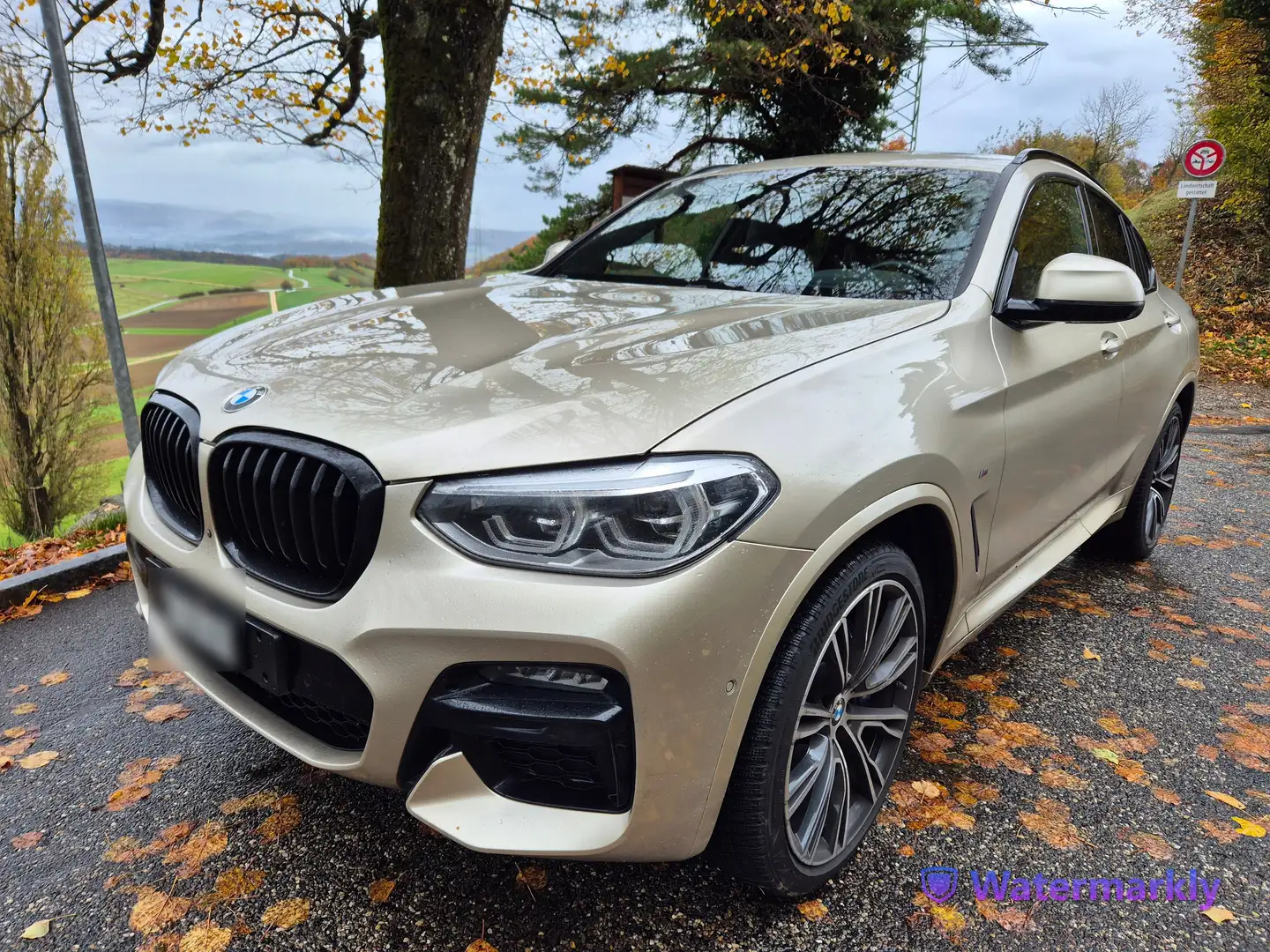 BMW X4 M X4 M40d Béžová - 1