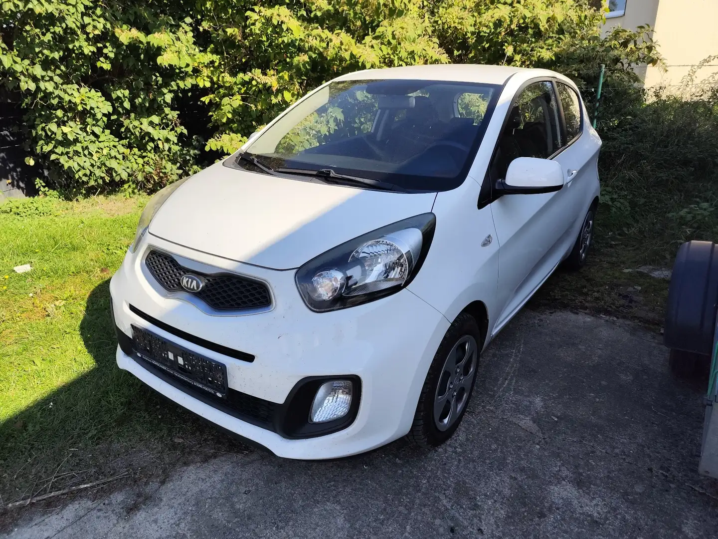 Kia Picanto 1.0 2014 klima TüV 02/27 Weiß - 2