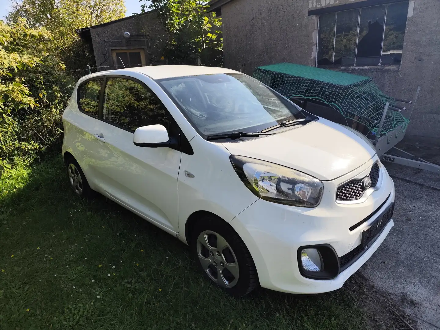 Kia Picanto 1.0 2014 klima TüV 02/27 Weiß - 1