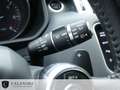Land Rover Range Rover Sport MARK III SDV8 4.4L HSE DYNAMIC A Grigio - thumbnail 37