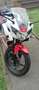 Honda CBR 125 Rood - thumbnail 1