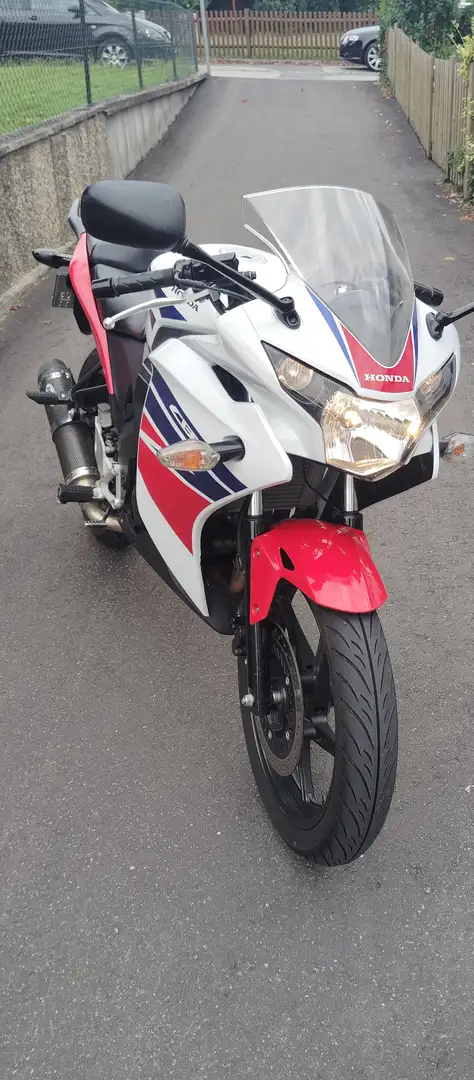Honda CBR 125 Rood - 2