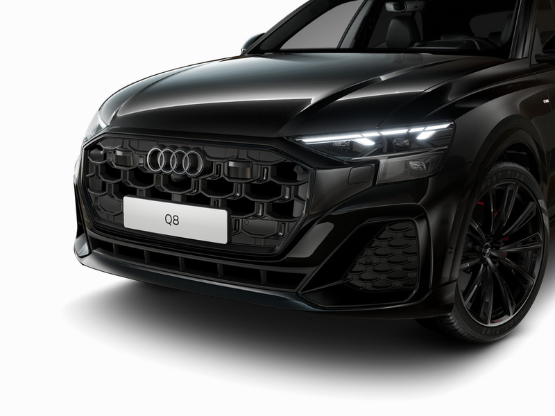Audi Q8 50 TDI quattro B&O*Pano*Matrix — photo 10