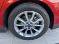 Ford Mondeo 2.0TDCI Trend 120 Burdeos - thumbnail 12