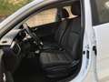 Kia Rio Rio IV 1.0 t-gdi mhev Style 100cv imt* SUPER PROMO Blanc - thumbnail 8