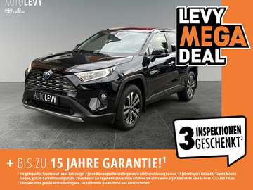 RAV4 2.5 4x4 Style Selection +Leder+Sitzbelüftung