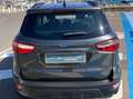 Ford EcoSport EcoSport 1.0 ecoboost Plus 100cv my19 Grigio - thumbnail 6