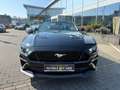Ford Mustang GT Convertible B&O ACC CAM LED LEDER Noir - thumbnail 2