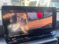 CUPRA Formentor 2.0 TSI 4Drive AHK 360° Beats Totwinkel ACC Grau - thumbnail 11