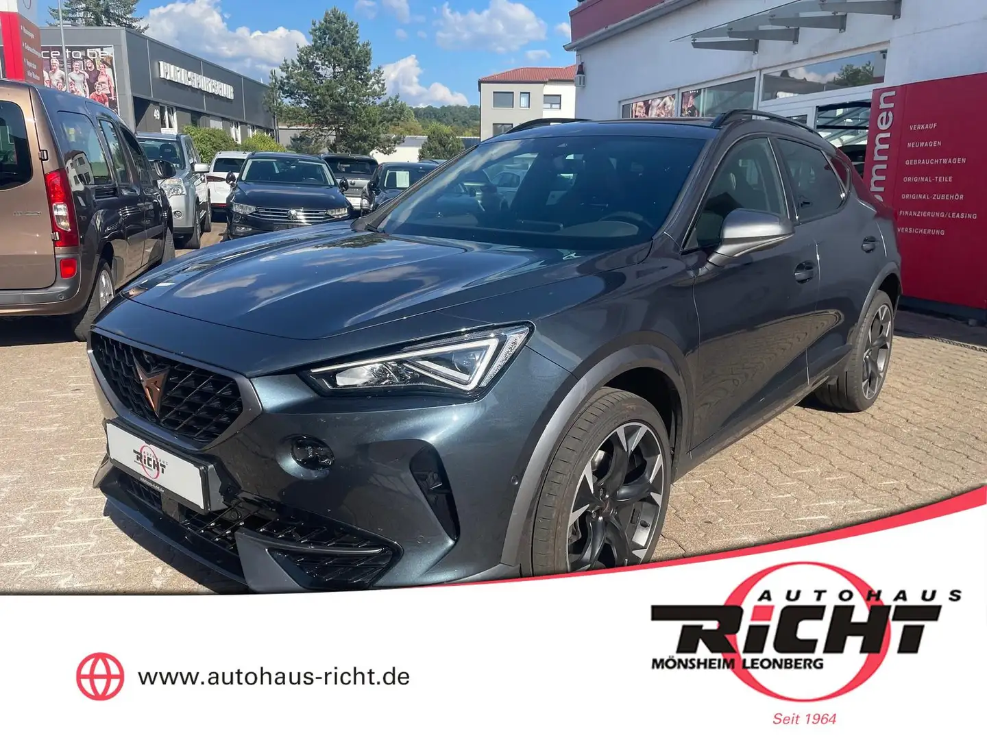 CUPRA Formentor 2.0 TSI 4Drive AHK 360° Beats Totwinkel ACC Grau - 1