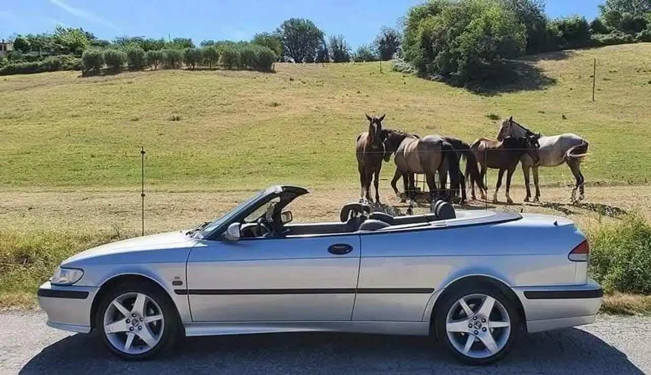 Saab 9-3 Cabrio 2.0t SE c/2airbag - ASI, foto 2