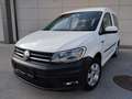 Volkswagen Caddy Caddy Kombi 2,0 TDI Weiß - thumbnail 4