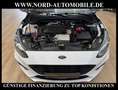Ford Focus Turnier 2.0 EcoBlue ST-LINE *PANO*ACC*B&O* ST-Line Bílá - thumbnail 23