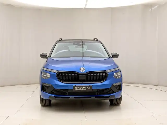 Skoda Kamiq view 2