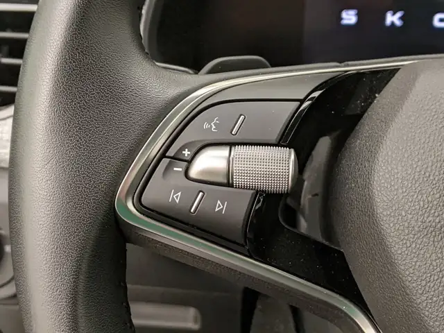 Skoda Kamiq view 10