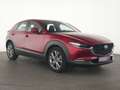 Mazda CX-30 Selection ACC|HeadUp|Kamera|Navi|CarPlay Rot - thumbnail 4