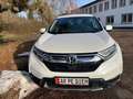 Honda CR-V 1.5 T 2WD Comfort / Klima /Kamera Weiß - thumbnail 3