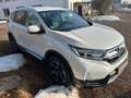 Honda CR-V 1.5 T 2WD Comfort / Klima /Kamera Weiß - thumbnail 4