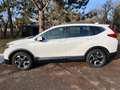 Honda CR-V 1.5 T 2WD Comfort / Klima /Kamera Weiß - thumbnail 5