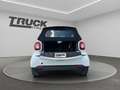 smart forTwo III 2015 Cabrio - Fortwo Cabrio eq Passion my19 Weiß - thumbnail 18