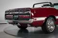 Shelby GT GT350 Convertible | Numbers Matching | Restored Rot - thumbnail 14