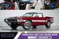 Shelby GT GT350 Convertible | Numbers Matching | Restored Rot - thumbnail 1