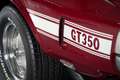 Shelby GT GT350 Convertible | Numbers Matching | Restored Rot - thumbnail 38