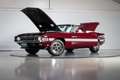 Shelby GT GT350 Convertible | Numbers Matching | Restored Rot - thumbnail 2