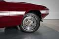 Shelby GT GT350 Convertible | Numbers Matching | Restored Rot - thumbnail 13
