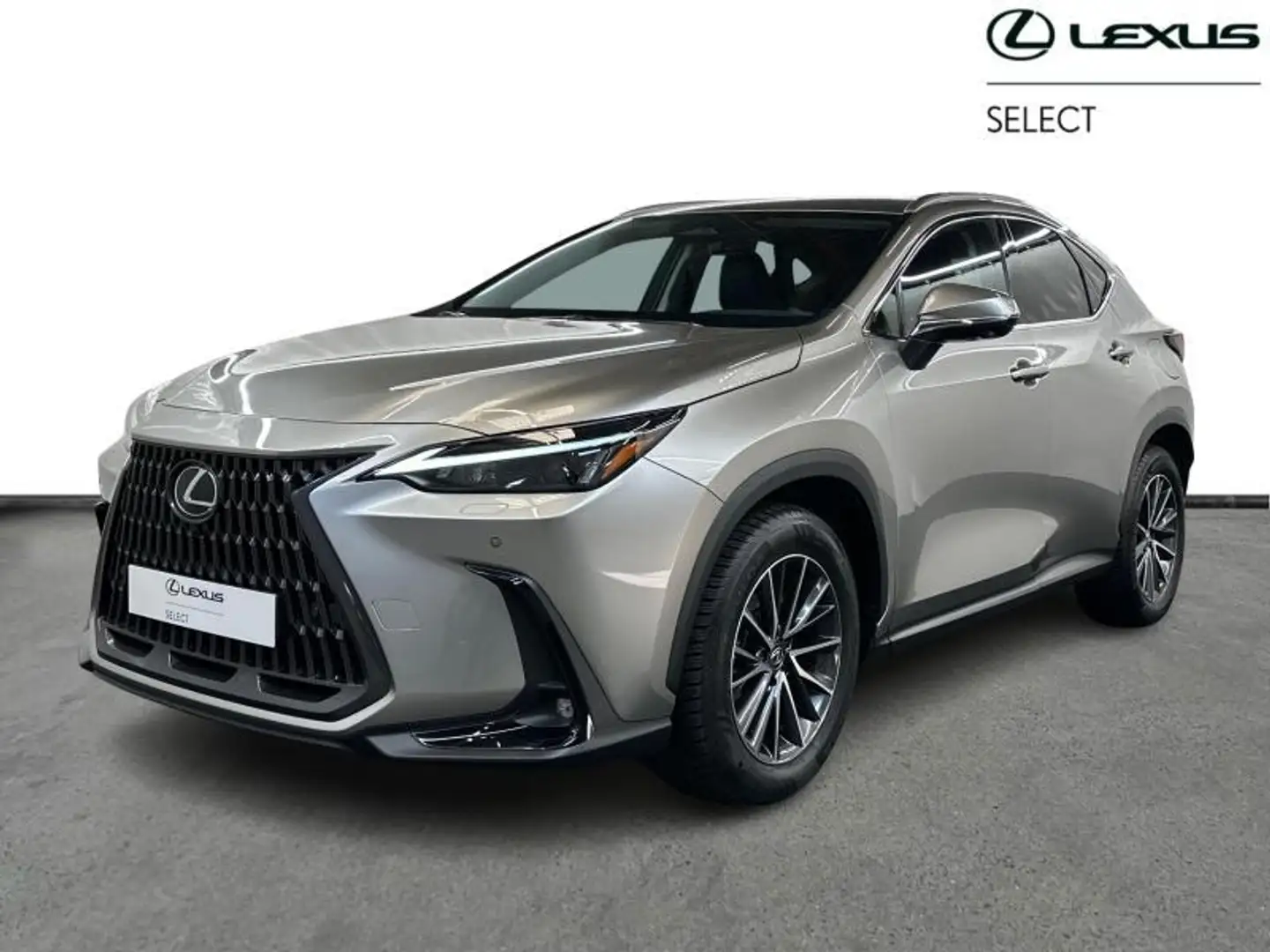 Lexus NX 450h+ PHEV Executive Line AWD Gris - 1