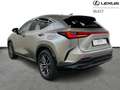 Lexus NX 450h+ PHEV Executive Line AWD Gris - thumbnail 3