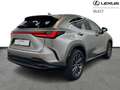 Lexus NX 450h+ PHEV Executive Line AWD Gris - thumbnail 17