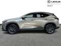 Lexus NX 450h+ PHEV Executive Line AWD Gris - thumbnail 5