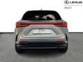 Lexus NX 450h+ PHEV Executive Line AWD Gris - thumbnail 6