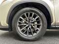 Lexus NX 450h+ PHEV Executive Line AWD Gris - thumbnail 15