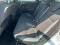 Ford Focus 1.6tdci/95CV/neopatentato/Euro5B con FAP/Unico p. Grigio - thumbnail 12