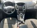 Ford Focus 1.6tdci/95CV/neopatentato/Euro5B con FAP/Unico p. Grigio - thumbnail 10