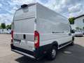 Opel Movano C Kasten GKa L4H3 3,5t Edition Blanco - thumbnail 9