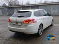 Peugeot 308 308 SW 1.6 bluehdi Allure s&s 120cv eat6 Weiß - thumbnail 5
