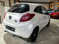 Ford Ka/Ka+ Titanium Sitzheizung/Euro6/2.H Weiß - thumbnail 7