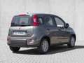 Fiat Panda Base 1.0 Mild Hybrid EU6d/ Tech Paket/ Colosseo Gr Grau - thumbnail 2
