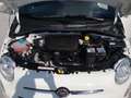 Fiat 500 FireFly Hybrid 70 Cult Blanc - thumbnail 19