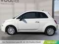Fiat 500 FireFly Hybrid 70 Cult Blanc - thumbnail 2