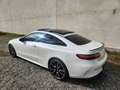 Mercedes-Benz E 53 AMG 4Matic Carbon/Soft Close/HUP/ACC/Schiebedach Weiß - thumbnail 20