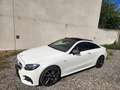 Mercedes-Benz E 53 AMG 4Matic Carbon/Soft Close/HUP/ACC/Schiebedach Weiß - thumbnail 19