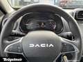 Dacia Spring Spring Electric 45 Essential+NAVI+KAM+PDC+CCS Grau - thumbnail 8