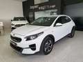 Kia XCeed 1.0 T-GDi Eco-Dynamics Concept Blanco - thumbnail 1