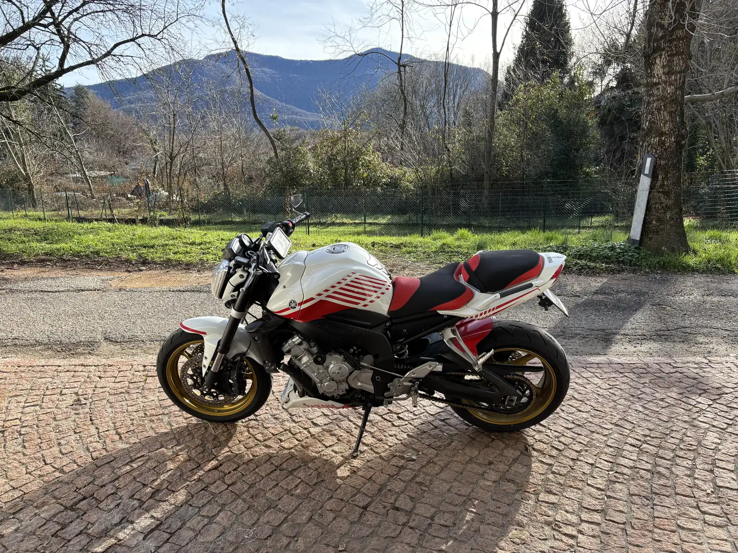 Yamaha FZ 1 - 1