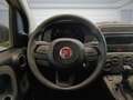 Fiat Panda 1.0 FireFly S&S Hybrid PANDINA ADAS Giallo - thumbnail 11